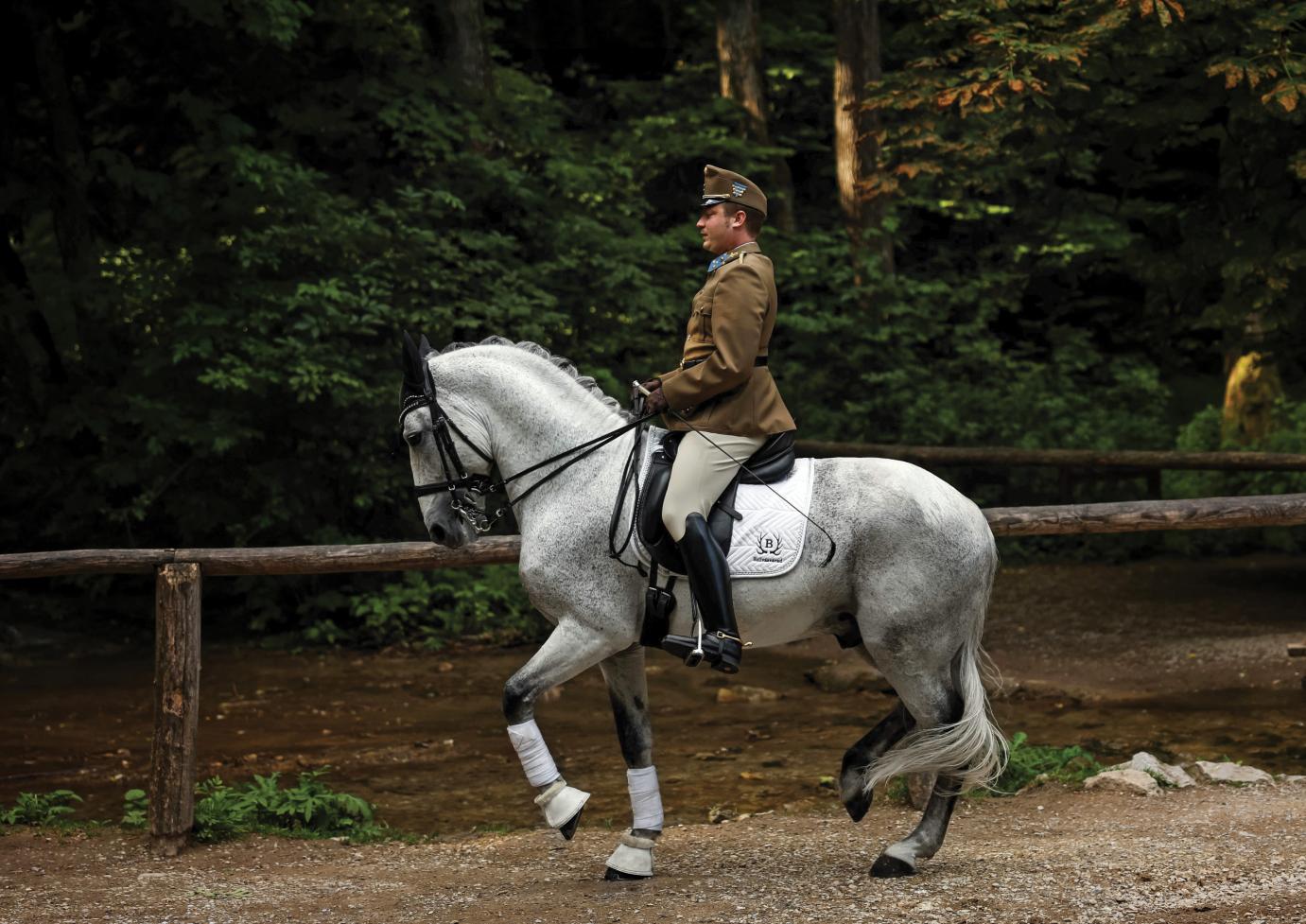 Rangos elismerés a Szilvásváradi Ménesgazdaság vezetőjének