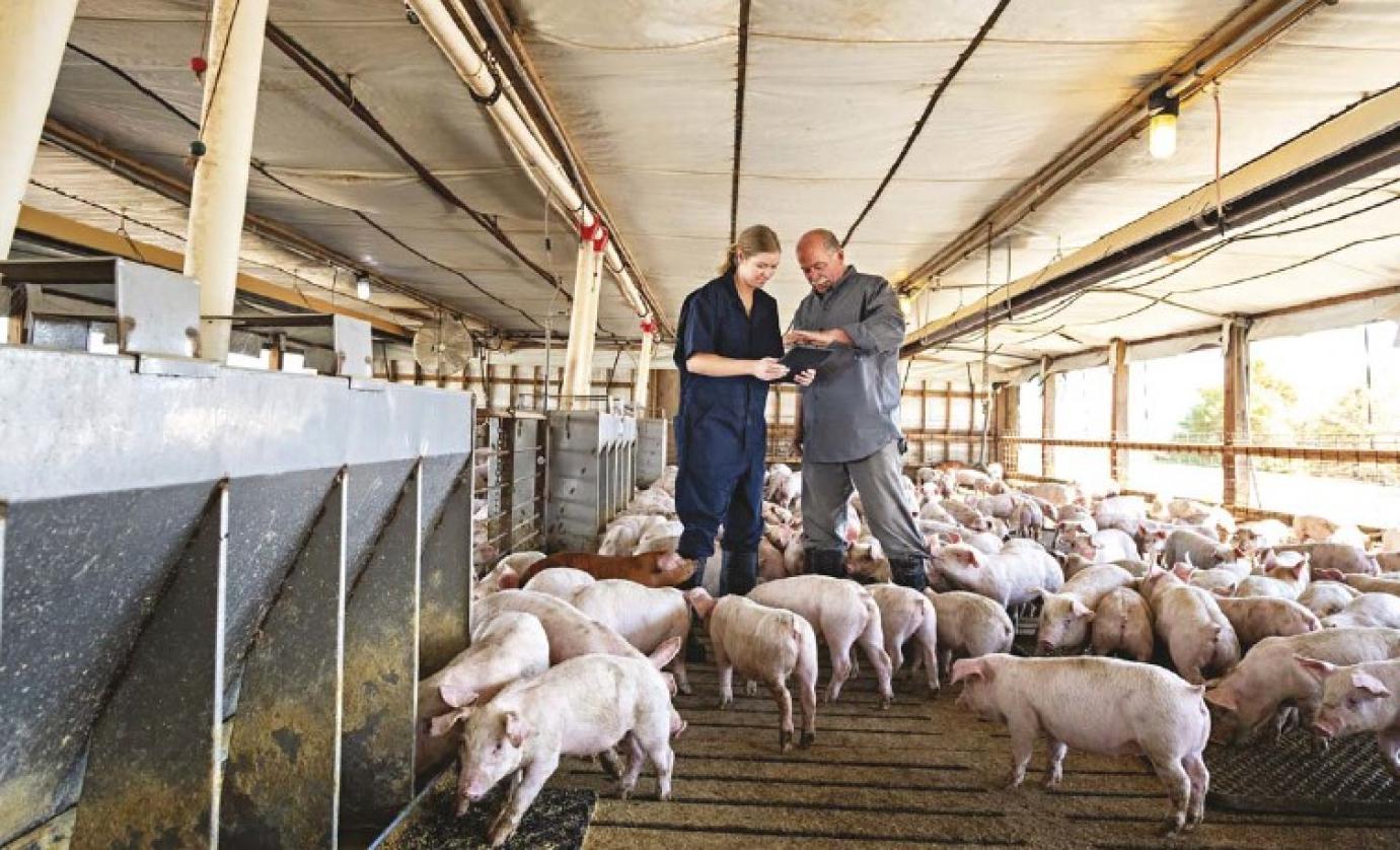 Kielemeztük a 148-as rendelet módosításait