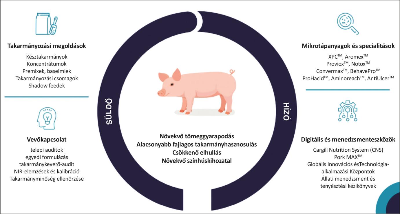 A sertéstenyésztés jövedelmezőségének maximalizálása a Cargill Utmost™ megoldásával kép