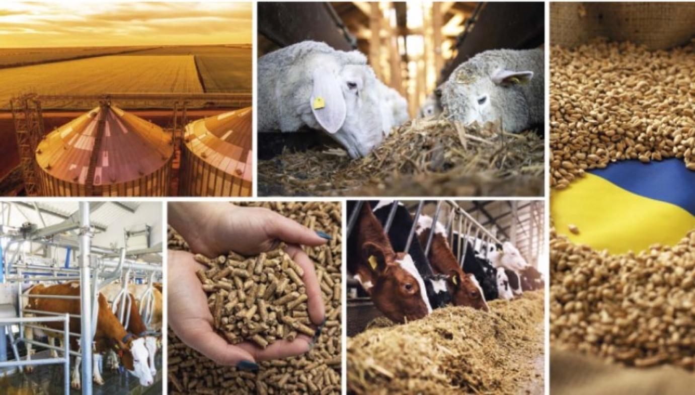 Helyzetjelentés agrár-külkereskedelmünk fontos célországaiból