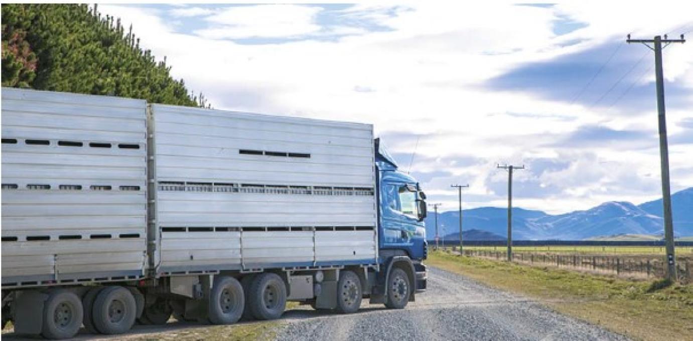 Jövőre új szabályozás jön az állattartóknál