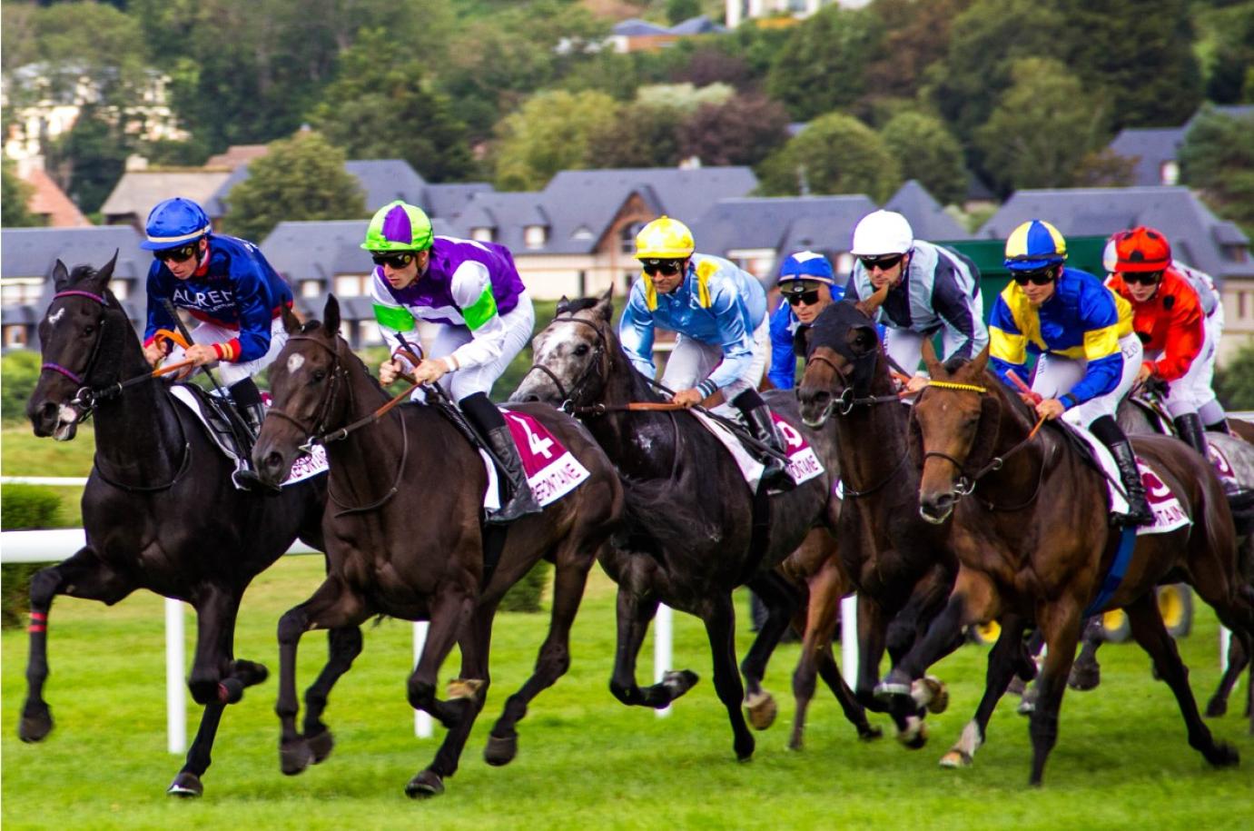 Lójóléti Világkonferencia – Jó gyakorlatok a sportlótartásban