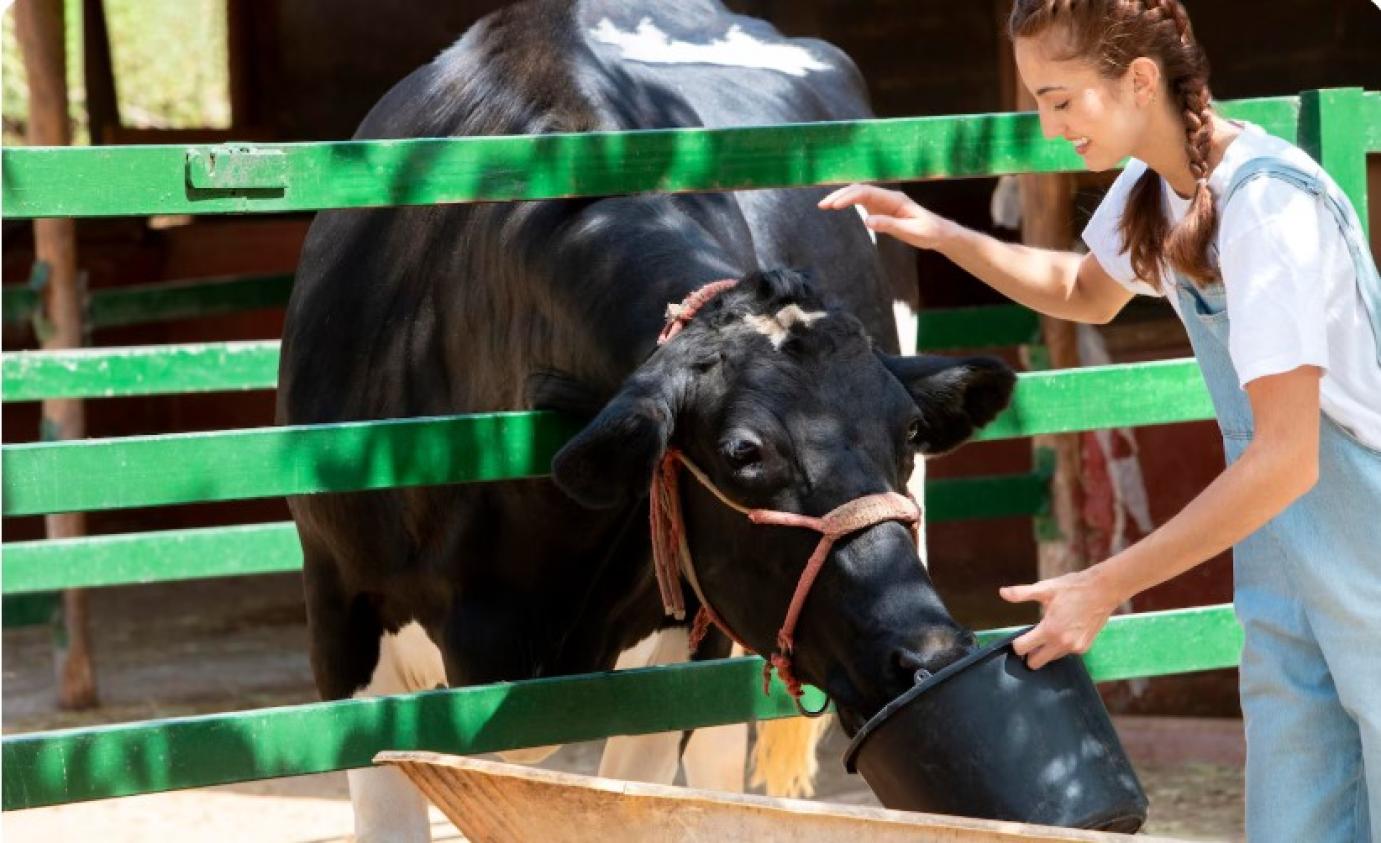 VÉDJÜK MEG A GAZDÁKAT ÉS AZ ÁLLATAINKAT!