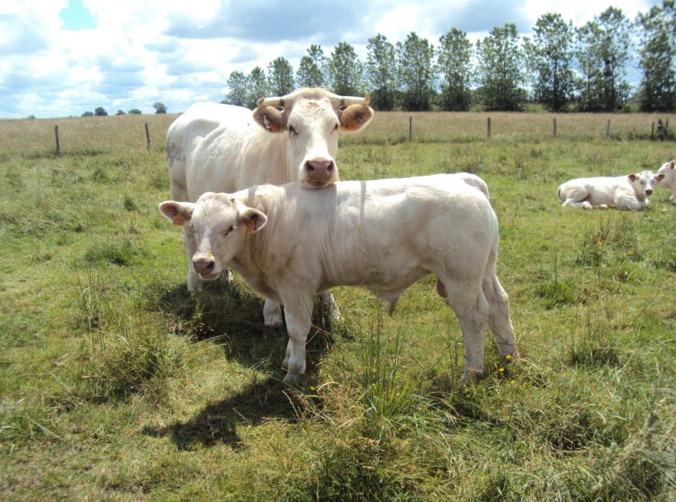 Változott az adatszolgáltatási kötelezettség határideje