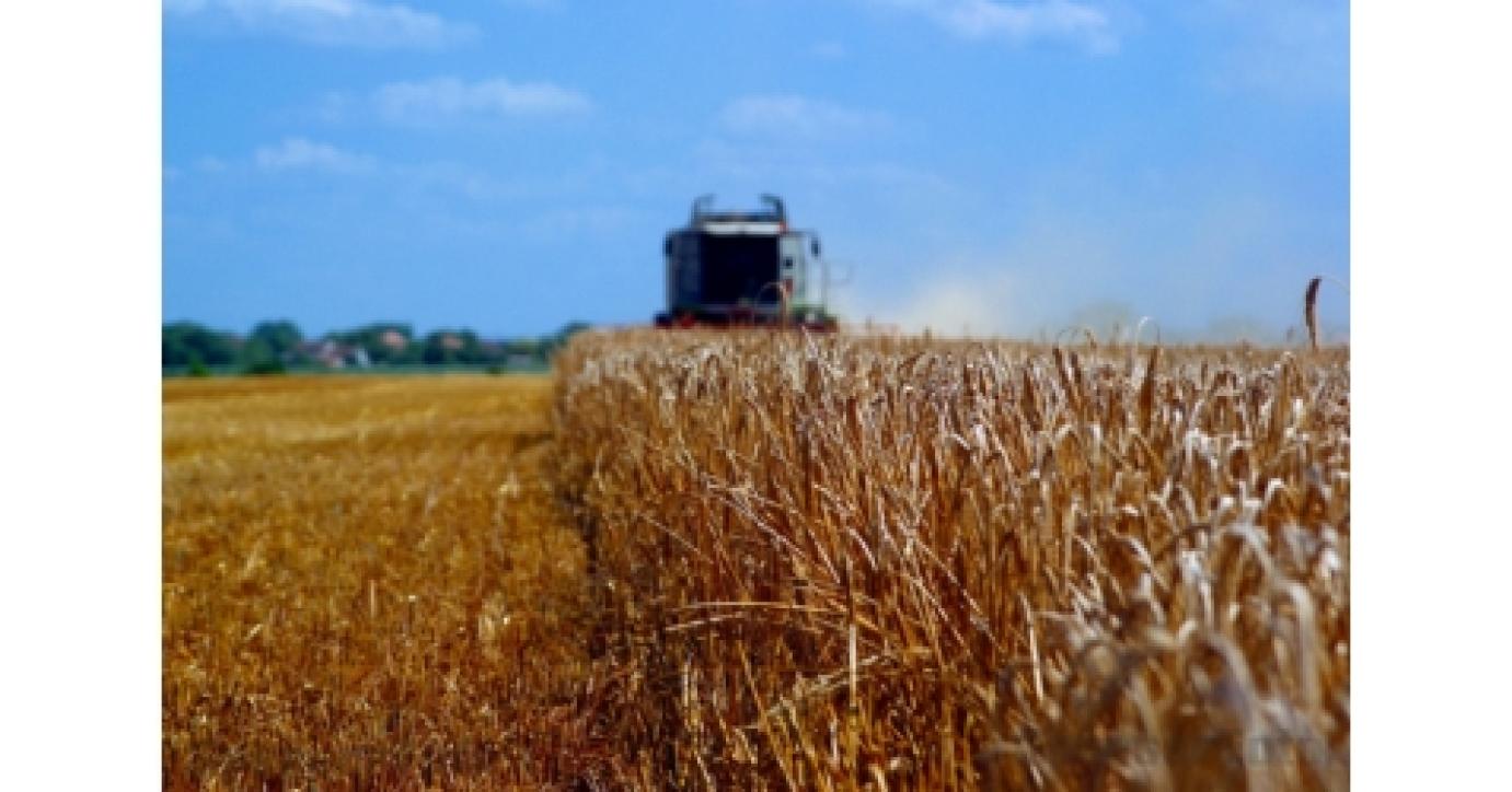 Aratás - Kettészakadt az ország