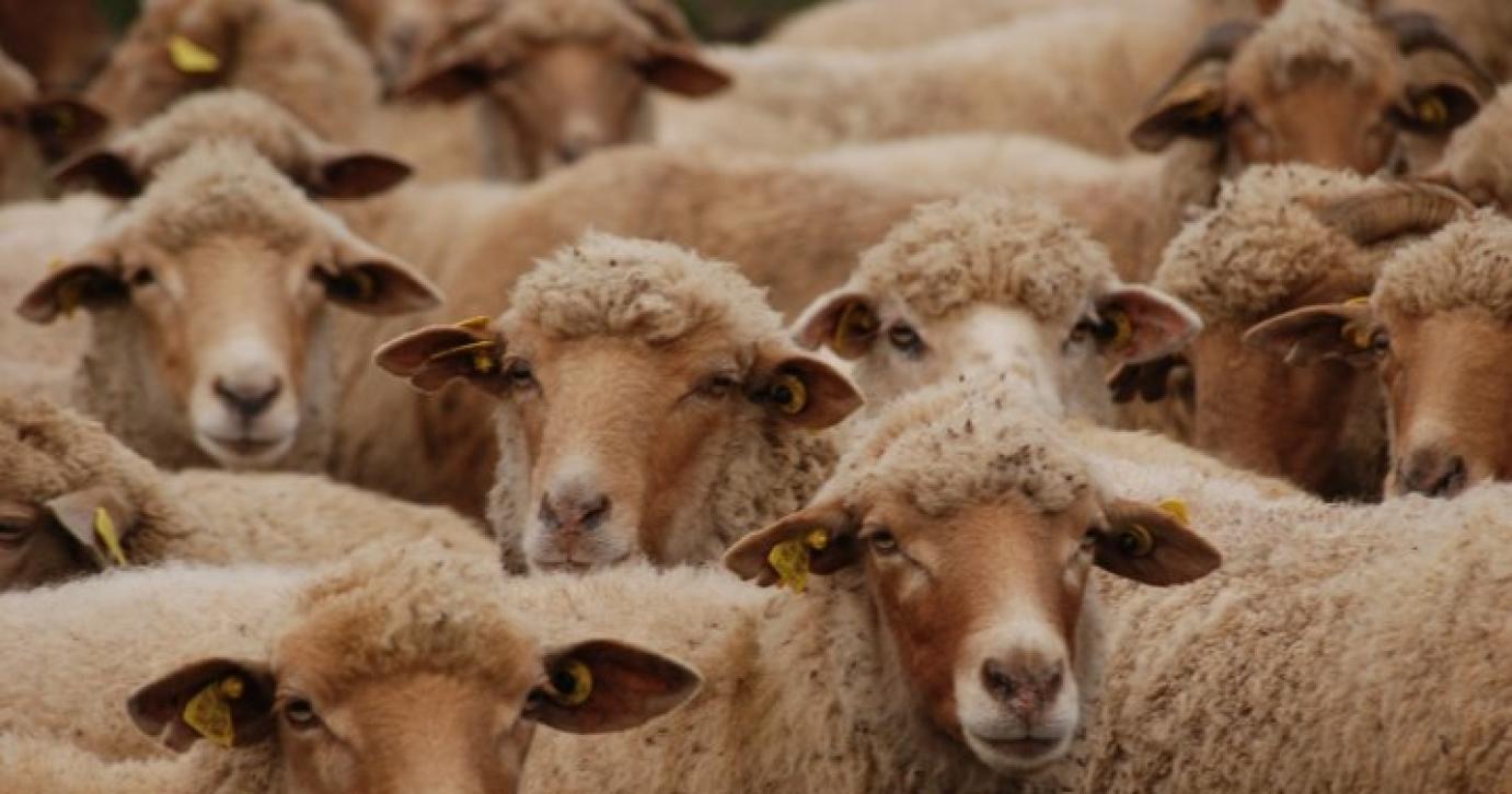 NÉBIH: Késve jelentett ENAR eseményt? Ellenőrizze online!