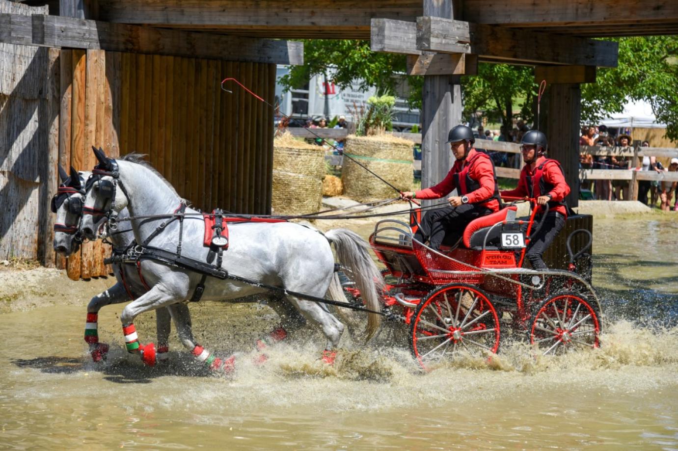 Szilvásvárad Masters Nemzetközi Fogathajtó verseny