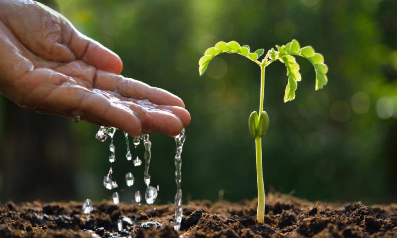 Támogatásokkal ösztönzik a vízmegtartó gazdálkodást