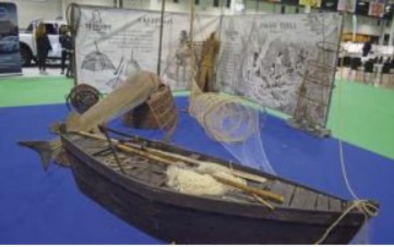 81. OMÉK: Sikeres halászati részvétel