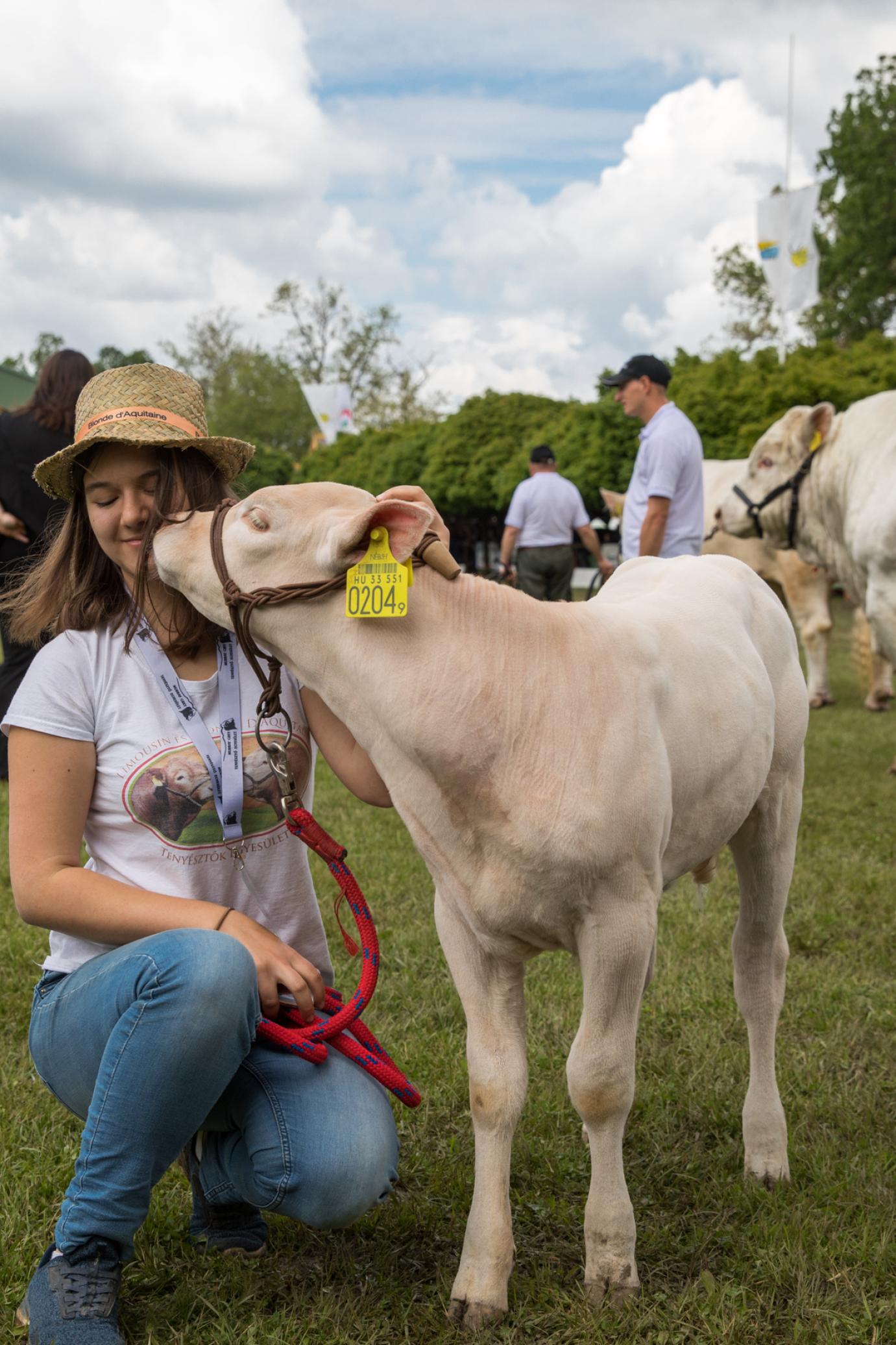 MESTERHÁZI JÓZSEF, a MÁSZ állatfotósa
