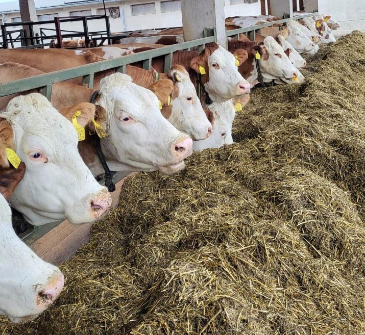 2023-as Egységes Kérelmek beadása: Mire készüljünk?