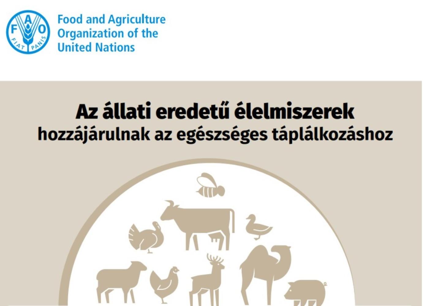 Az állati eredetű élelmiszerek tápanyagairól és a húsevés kockázatairól készített infografikát a FAO