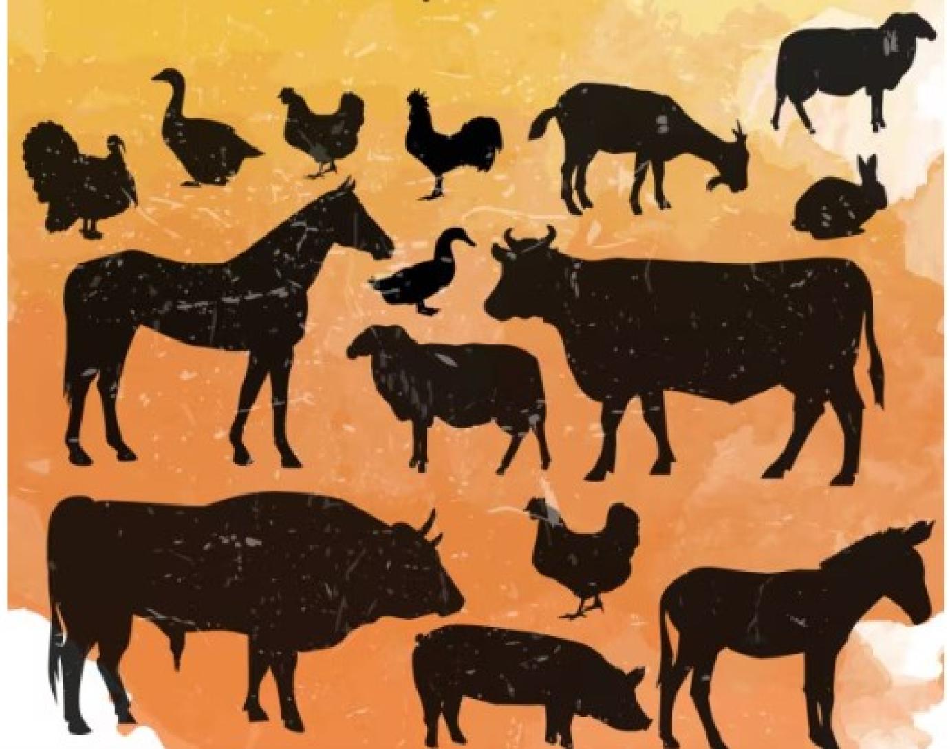 Lesz OMÉK - október 20-22. között tartják