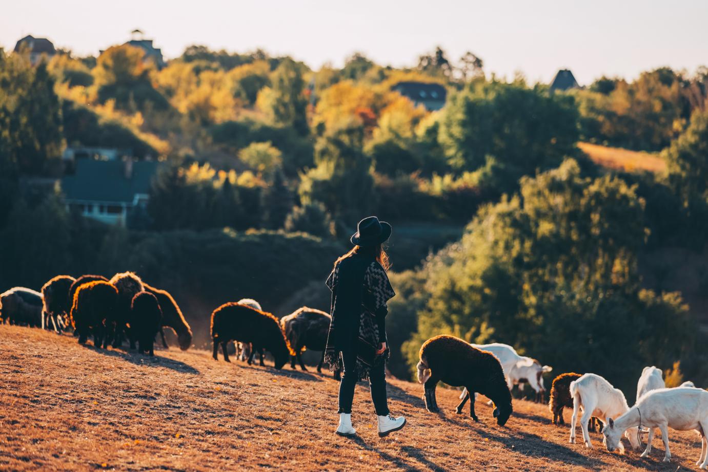 Megkezdődött a száznapos birtokontartási időszak