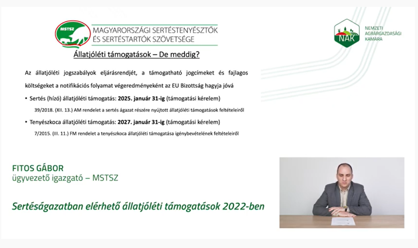Tájékoztató videó: Sertésállatjóléti támogatások helyzete és jövőben várható változásai