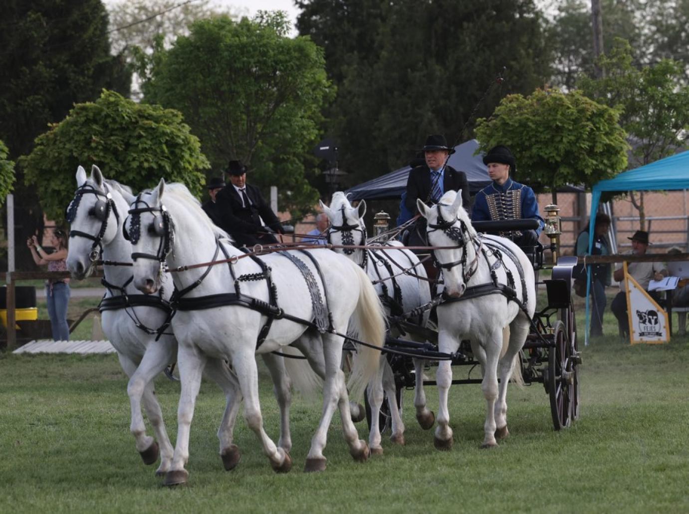 Három lovassport szakágat fog össze Szilvásváradon a Masters versenysorozat