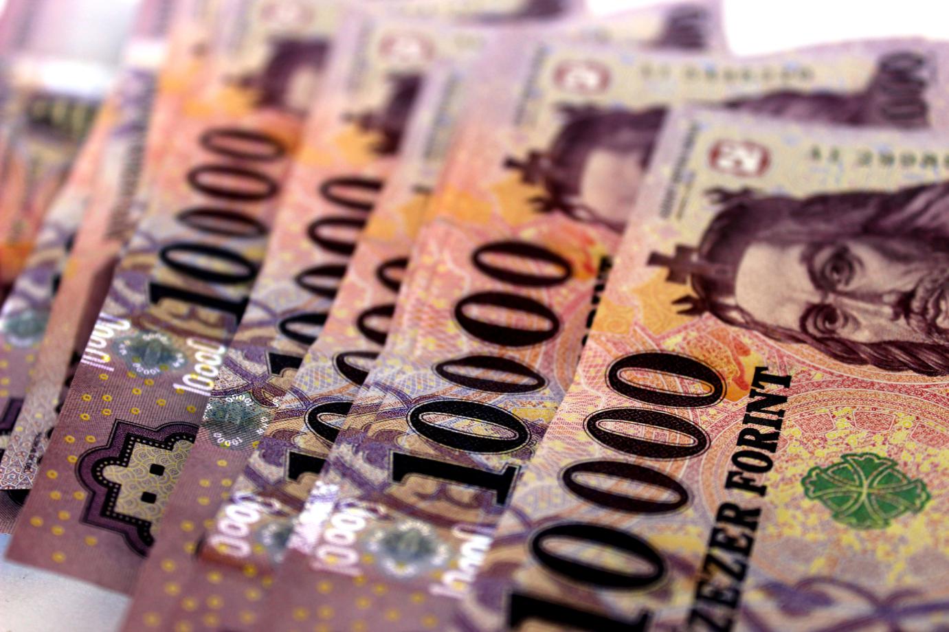 Magasabb összegű foglalkoztatási támogatásra számíthat a baromfi- és sertéságazat