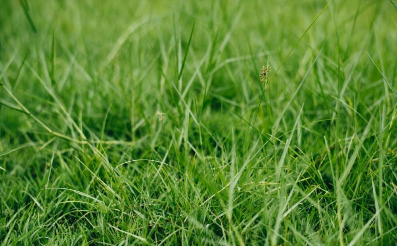 GYEPSTRATÉGIA: ELINDULT A SZAKMAI EGYEZTETÉS