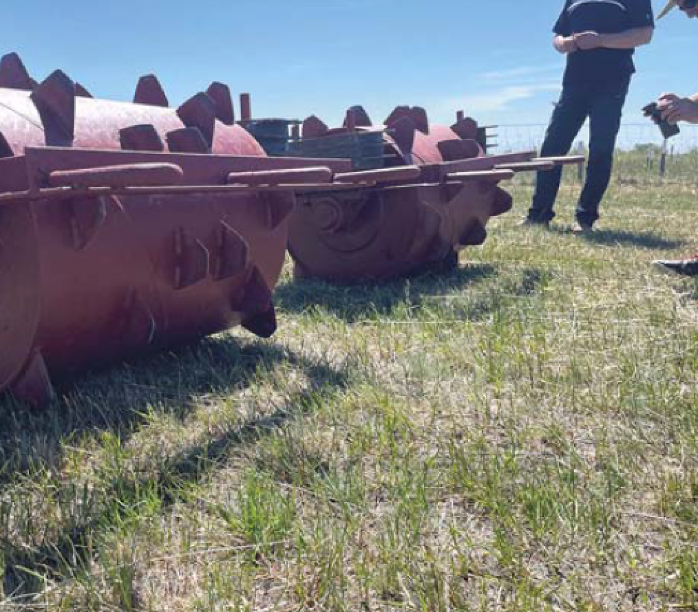 Gyepgazdálkodás és legeltetés szikes gyepen - Karcagon jártunk