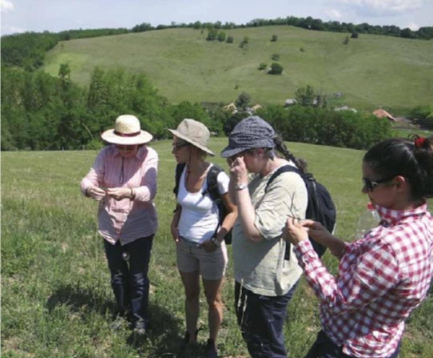 ERŐS SZELLEMI HÁTTÉR ÉS ALKOTNI KÉSZ KÖZÖSSÉG