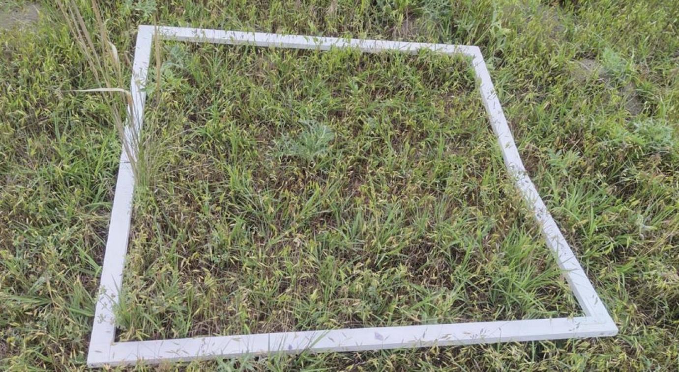 Gyepgazdálkodás a klímaváltozásban