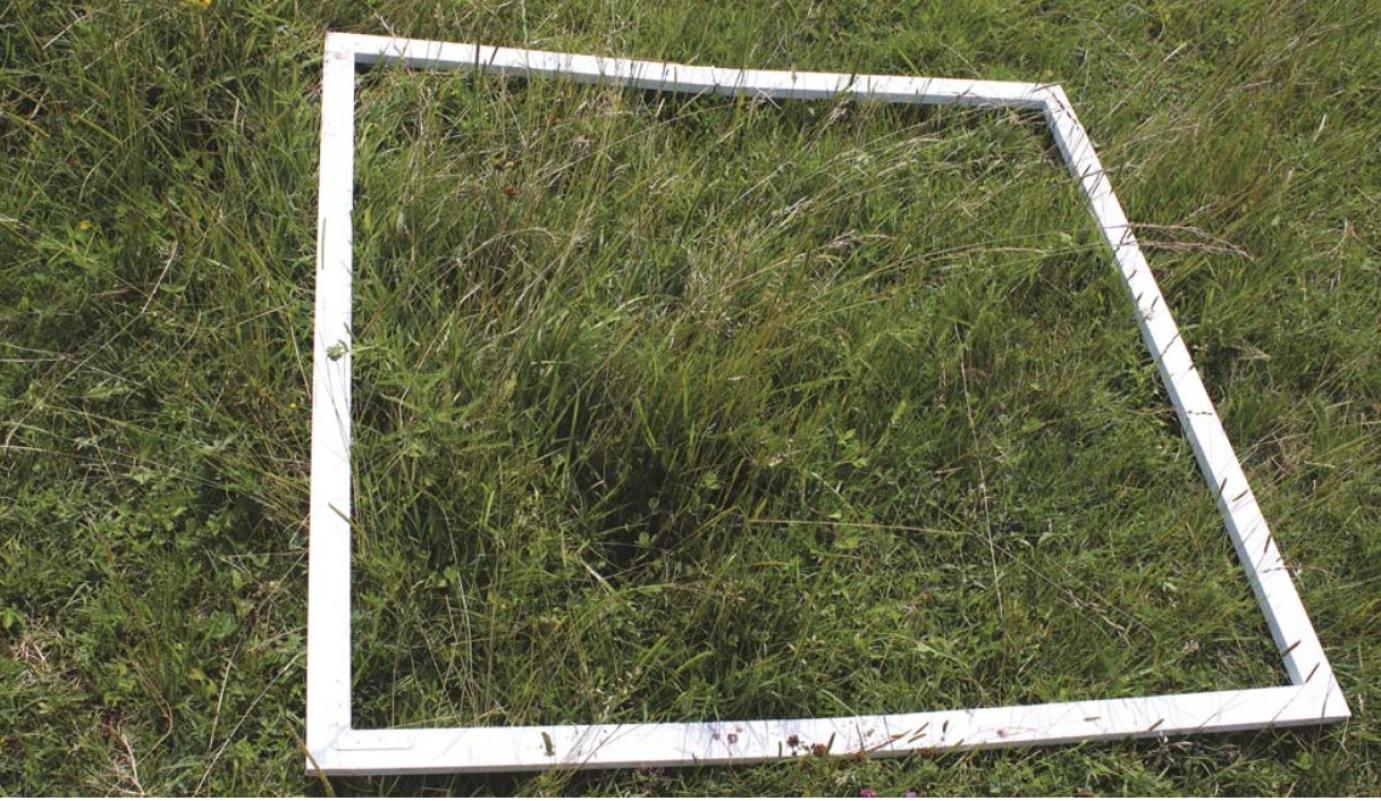 Ezeket a gyakorlati információkat nyújtja a gyepek részletes botanikai vizsgálata