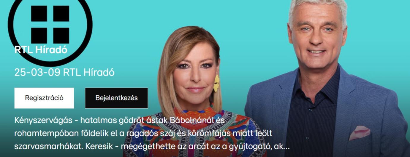 RTL Híradó - Kényszervágás - hatalmas gödröt ástak Bábolnánál és rohamtempóban földelik el a ragadós száj és körömfájás miatt leölt szarvasmarhákat