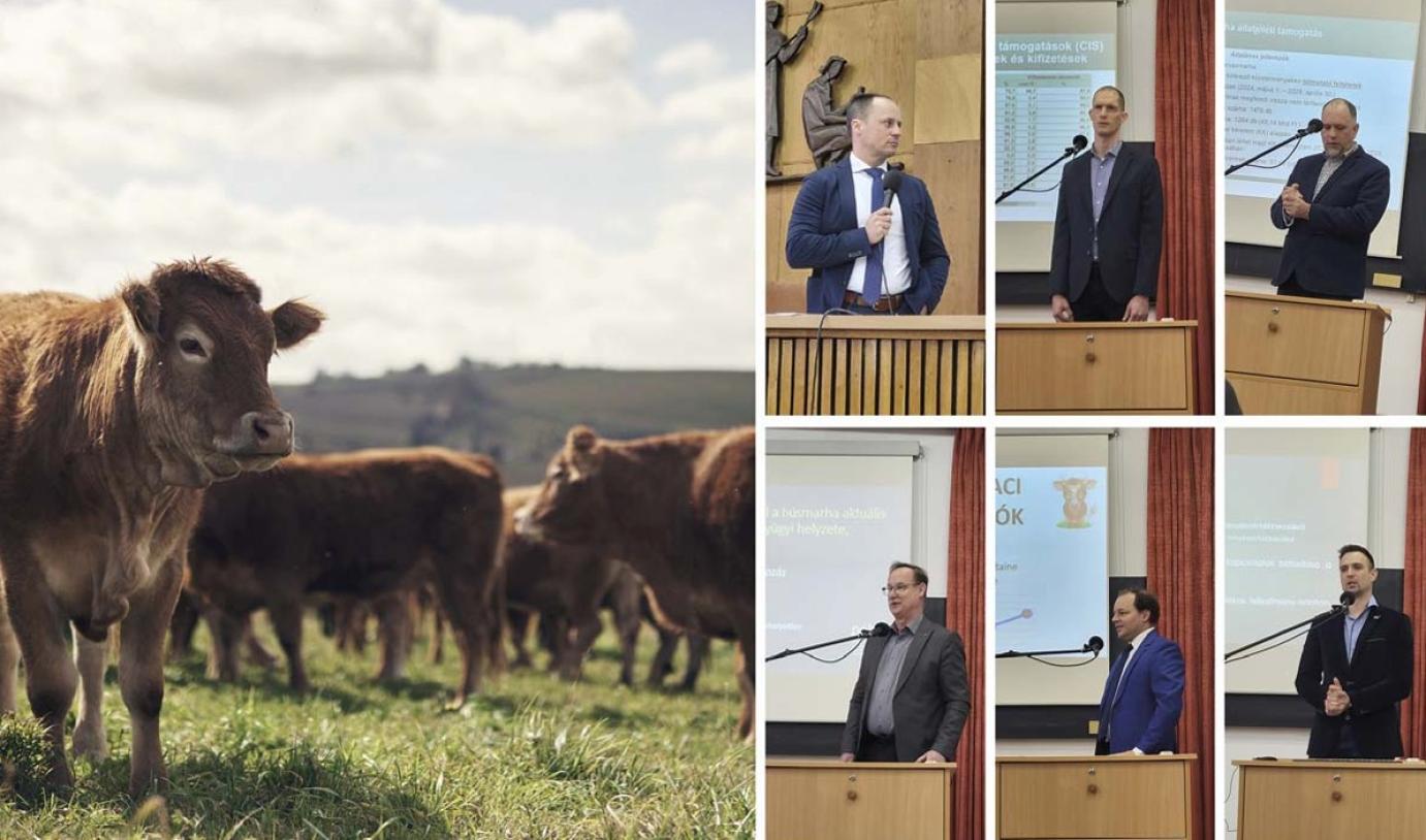 Aktualitások és a jövő technológiái a húsmarhatartásban