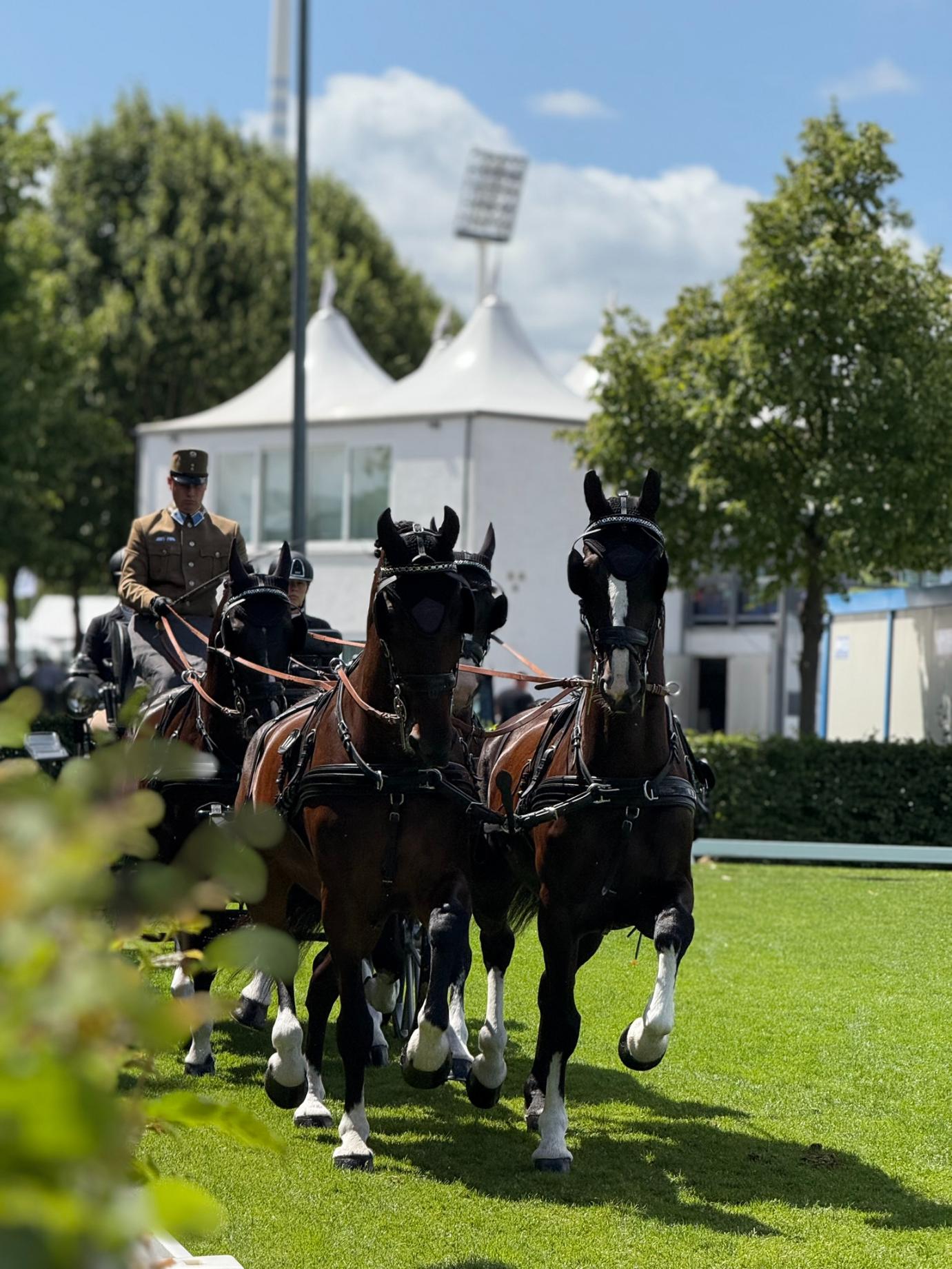 Fiatal fogathajtó a dobogó harmadik fokán
