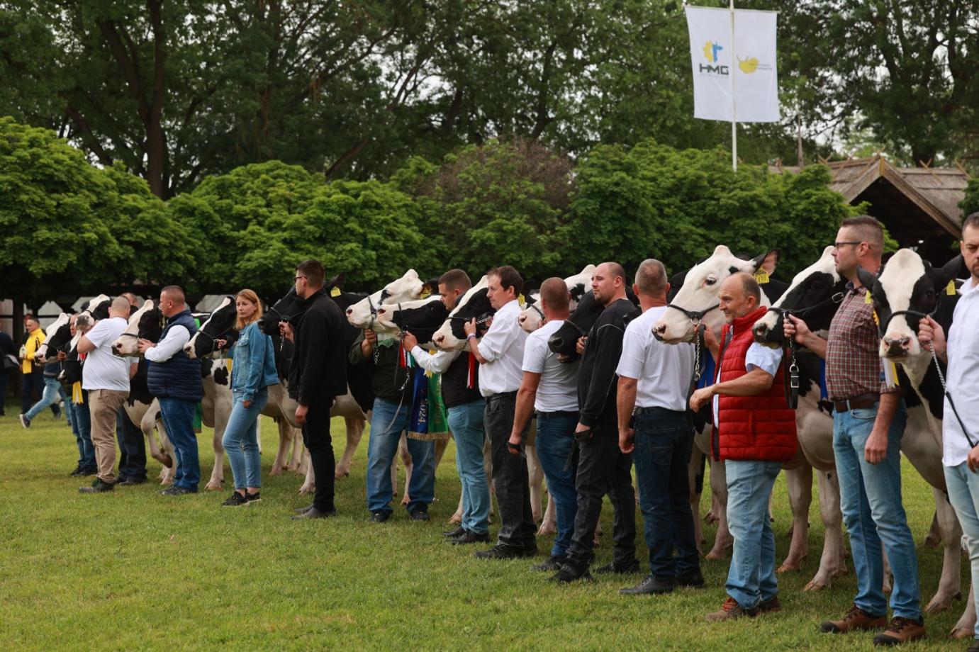 KI FOGJA GONDOZNI AZ ÁLLATAINKAT?