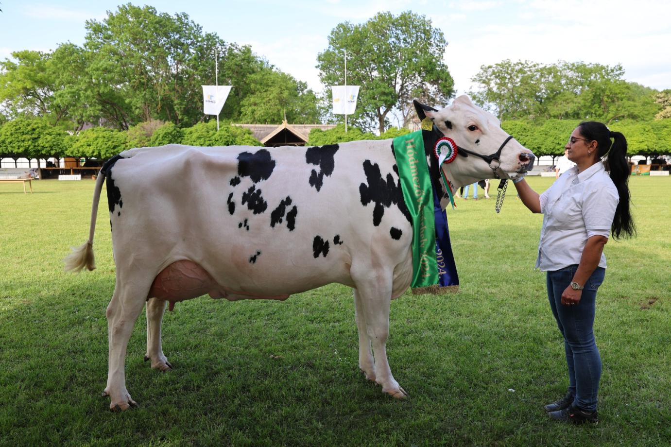 Tejtermelők részére 42,5 milliárd forint állatjóléti támogatásról döntött a kormány