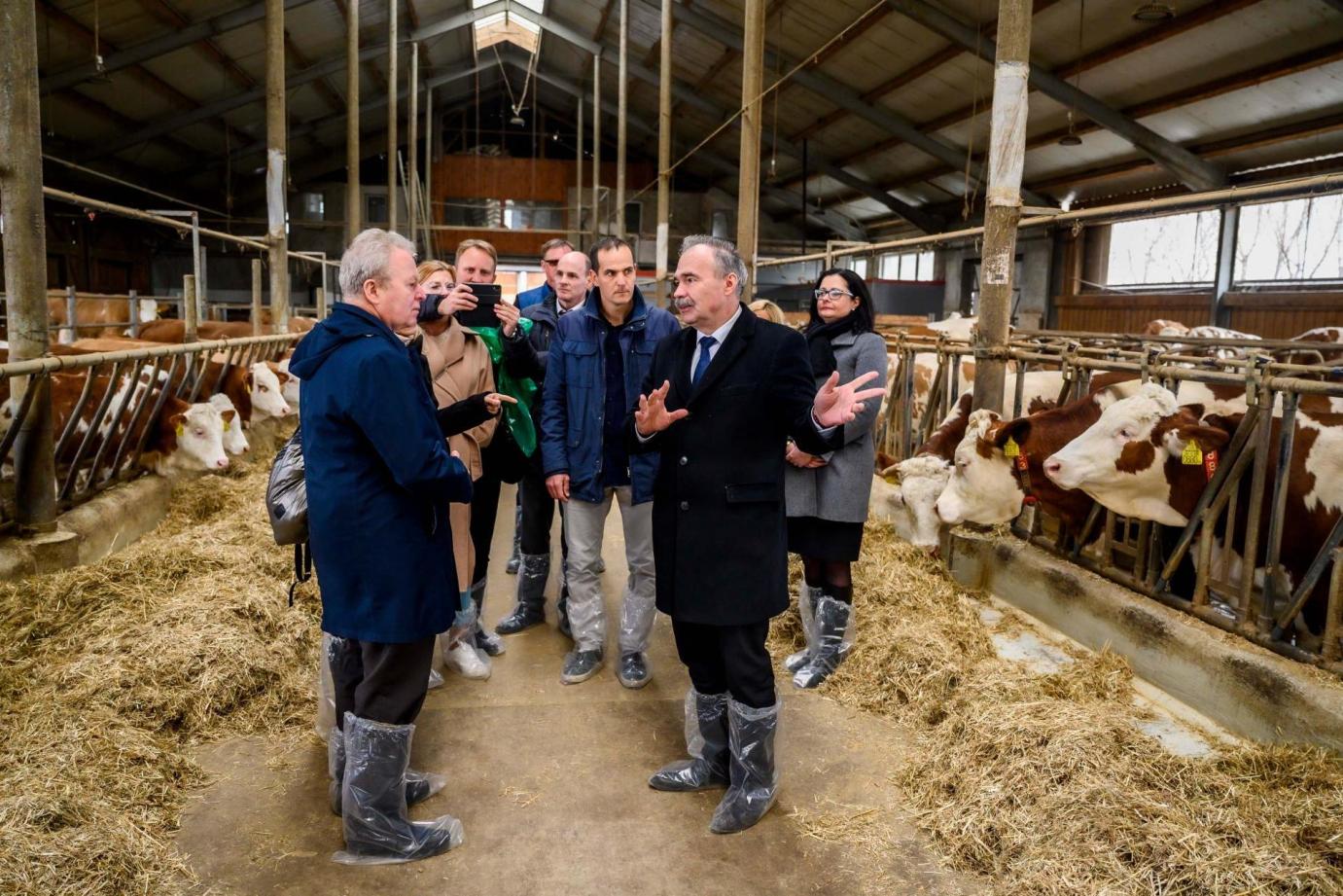 Február 28. óta ismét elérhető az állattartó telepek fejlesztését támogató felhívás