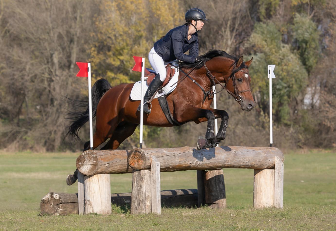 Ígéretes ménjelöltek vizsgáztak Bábolnán
