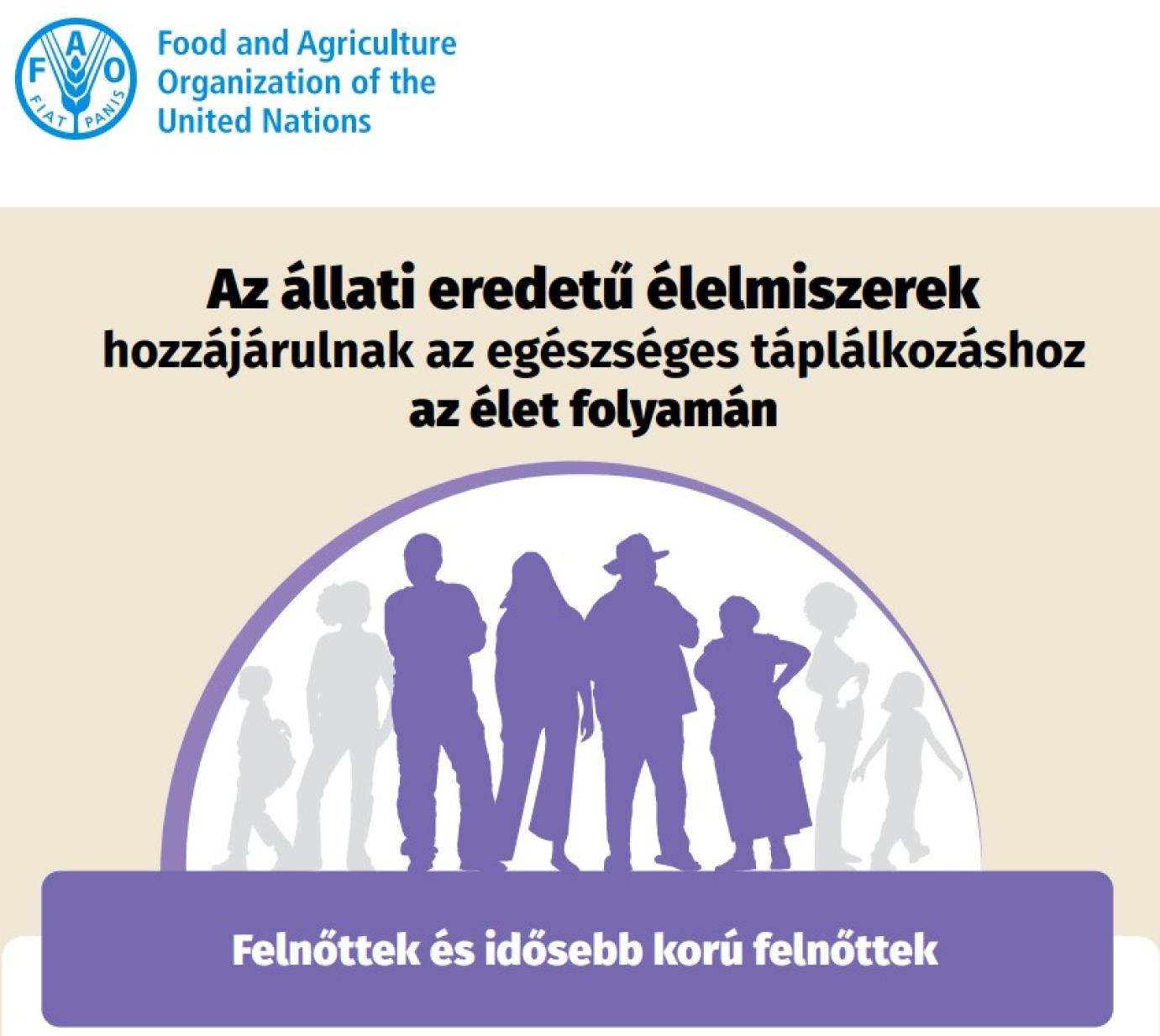 FAO INFOGRAFIKA: AZ ÁLLATI EREDETŰ ÉLELMISZEREK SZEREPE A FELNŐTTEK ÉS AZ IDŐSEBB KOROSZTÁLY TÁPLÁLKOZÁSÁBAN