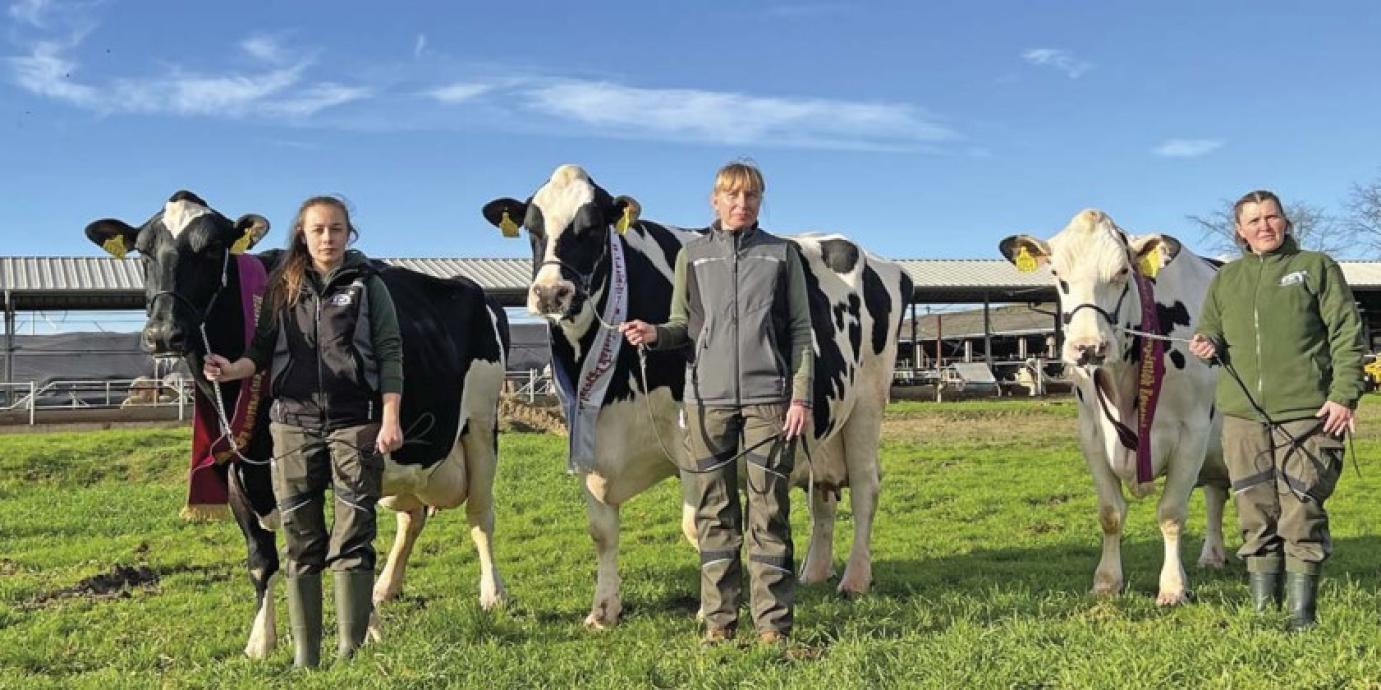 Csúcstámadásban a holstein-fríz állomány Magyarországon