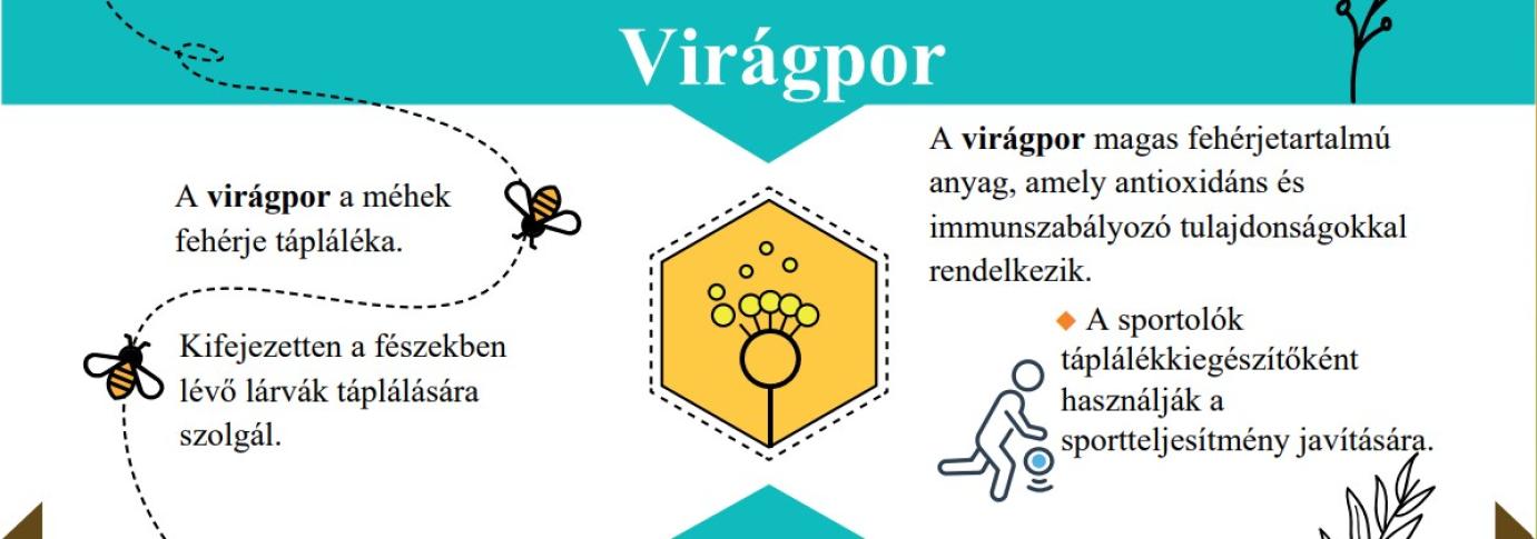 FAO infografika: méhészeti termékek és jelentőségük a humán egészségmegőrzésben kép