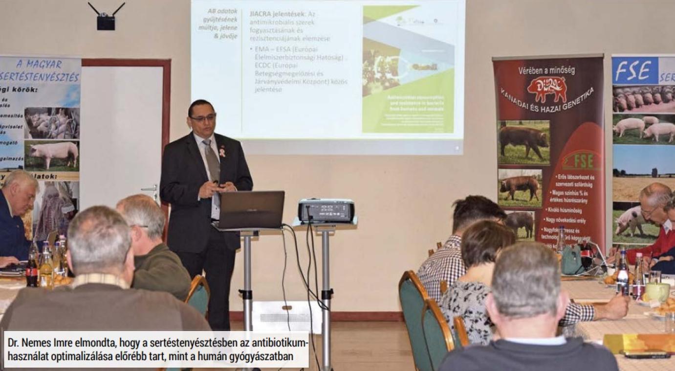 Kevesebb antibiotikum- és energiafelhasználással A HATÉKONY SERTÉSTARTÁSÉRT
