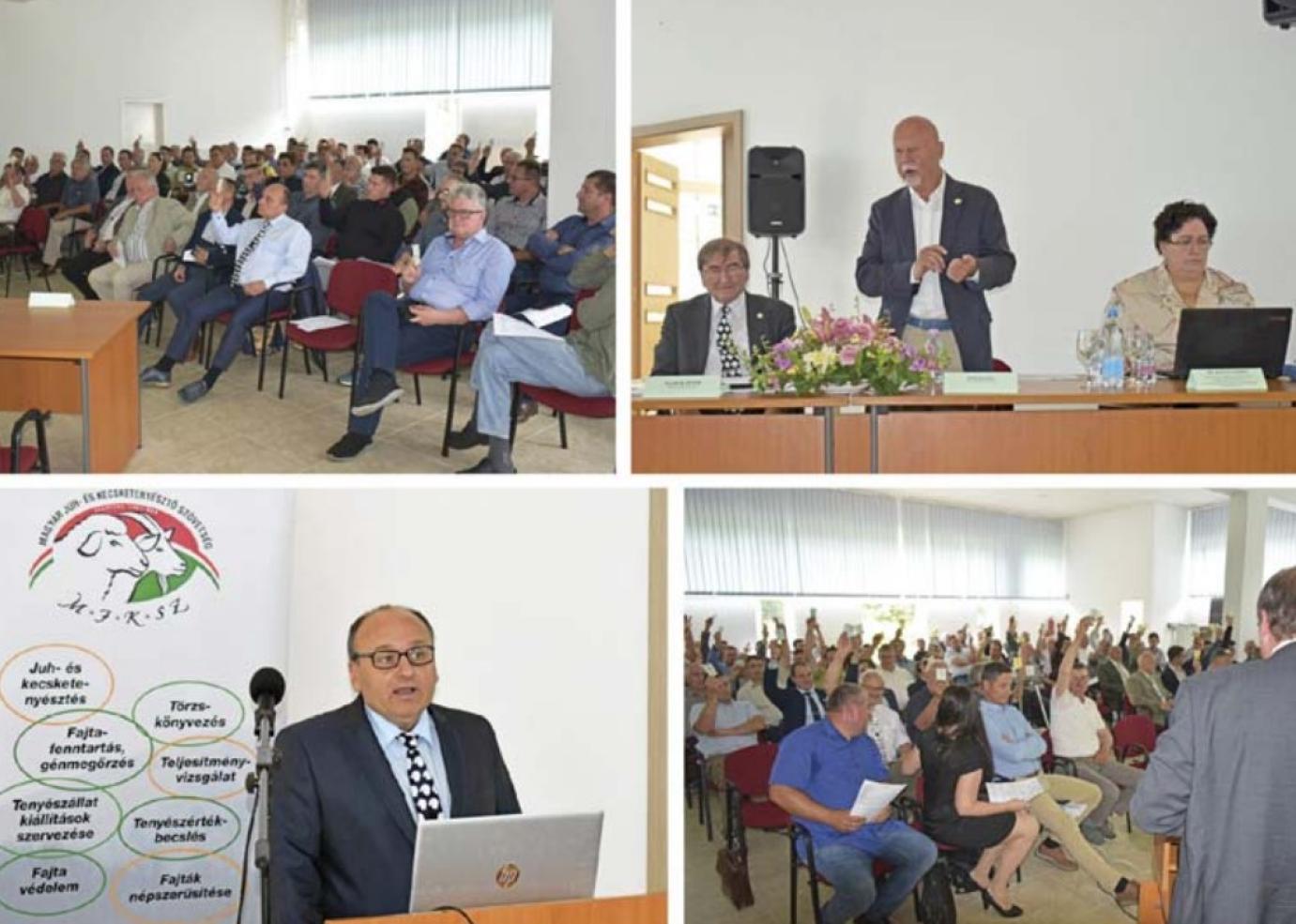 MEGÚJULT ELNÖKSÉG, MEGÚJULÓ SZERVEZET