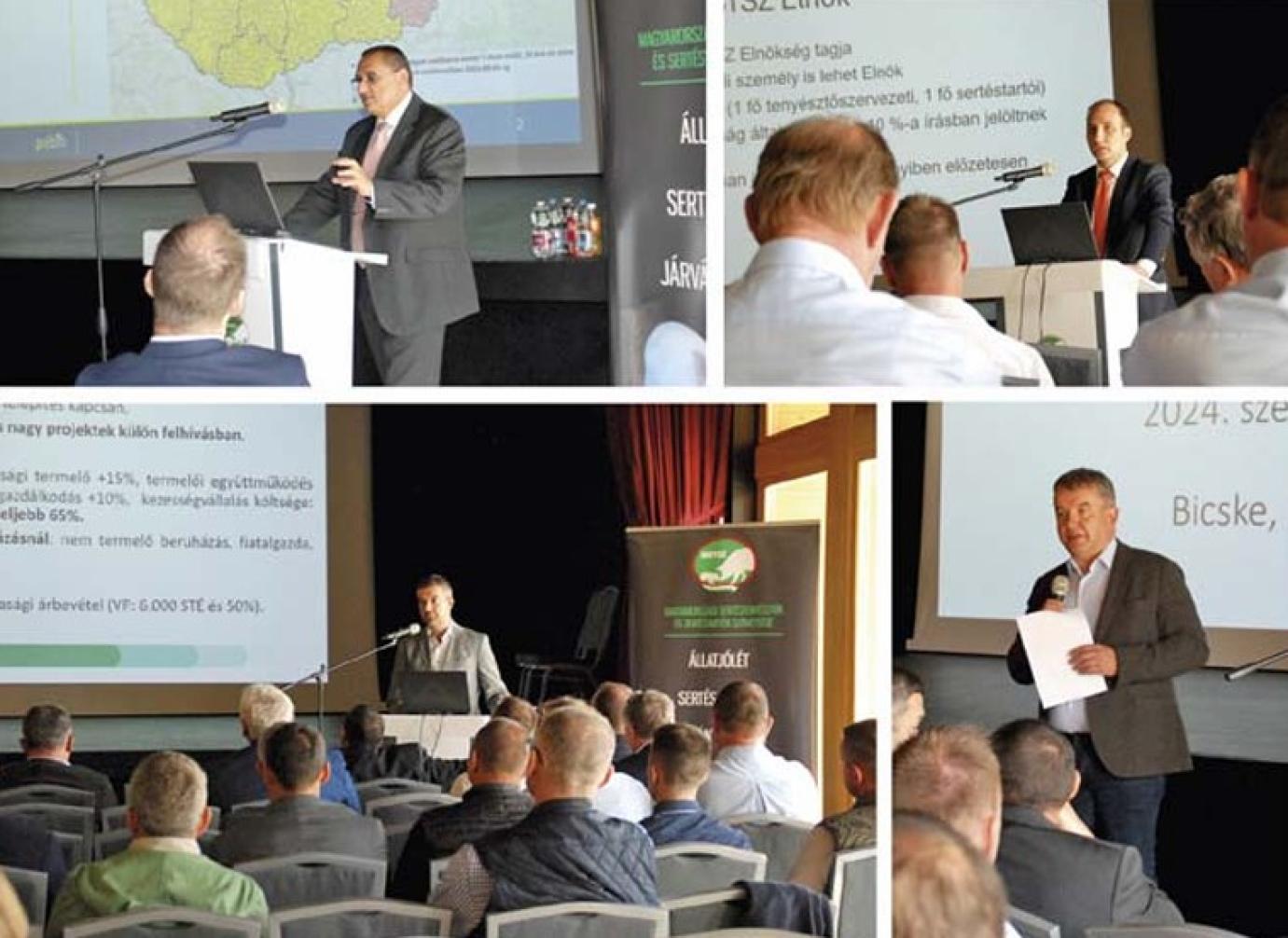 Horváth István maradt az MSTSZ elnöke