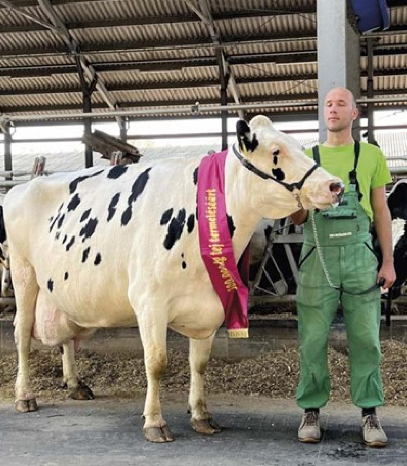 Közel 30 év telt el az Aranytörzskönyv újraalapítása óta
