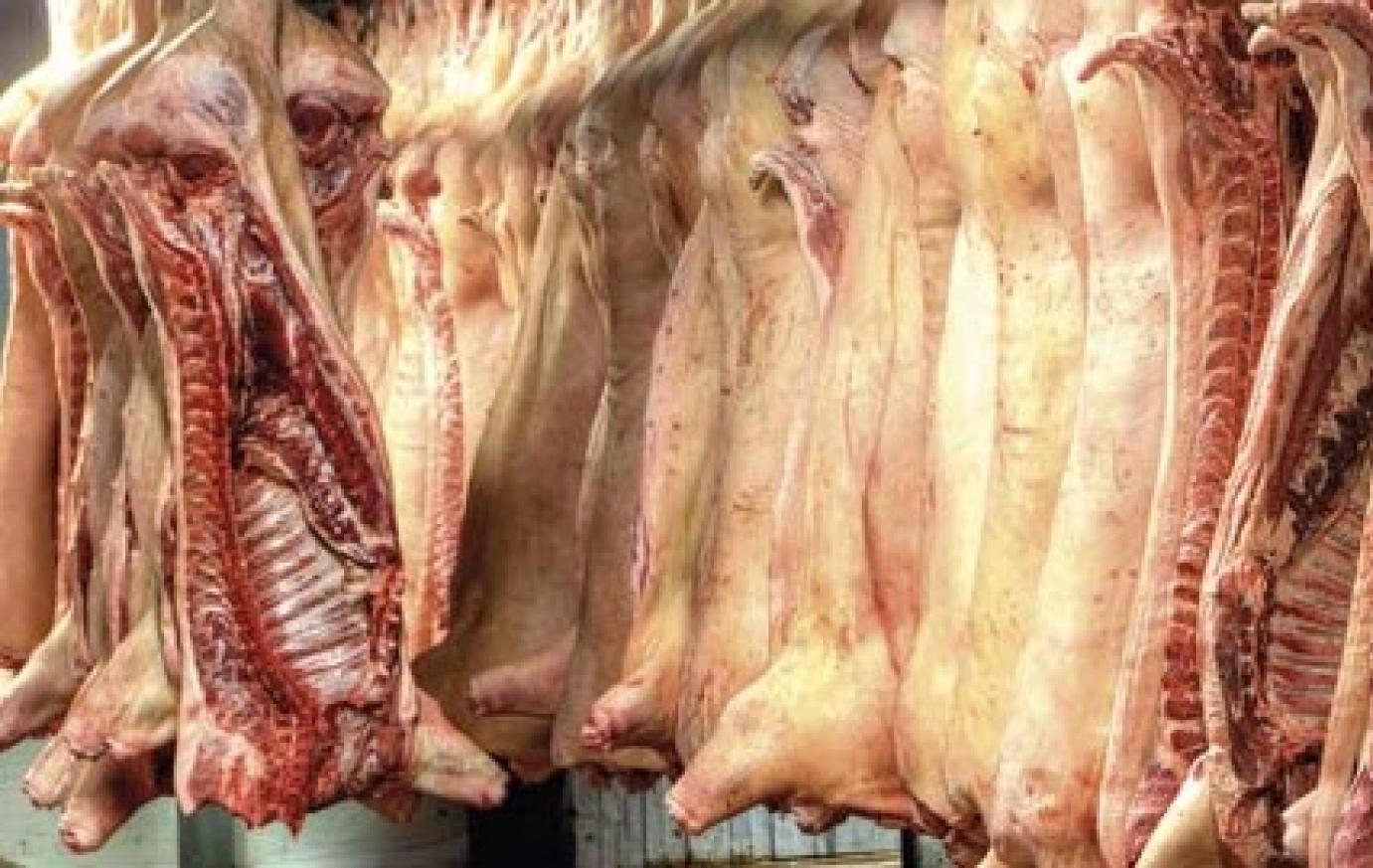 Sertéstartók premizálása Németországban