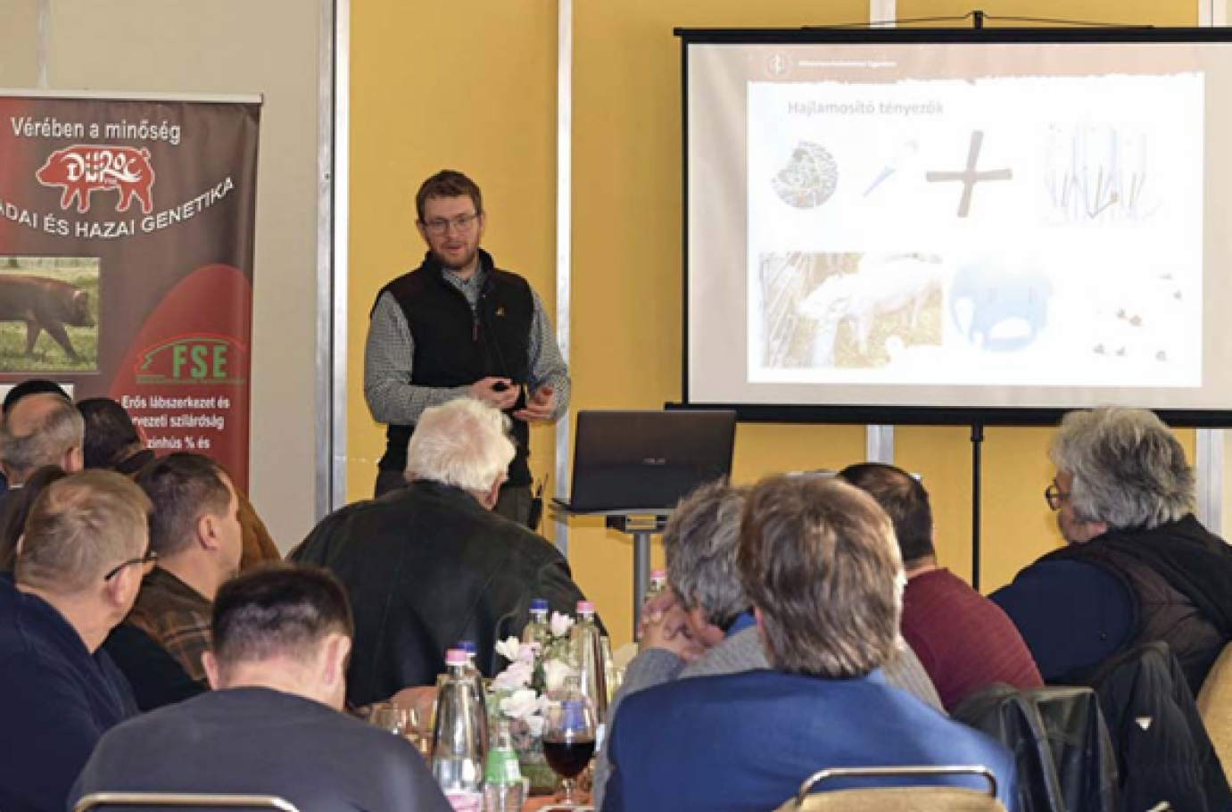 Mi vár a sertéstartókra 2025-ben?