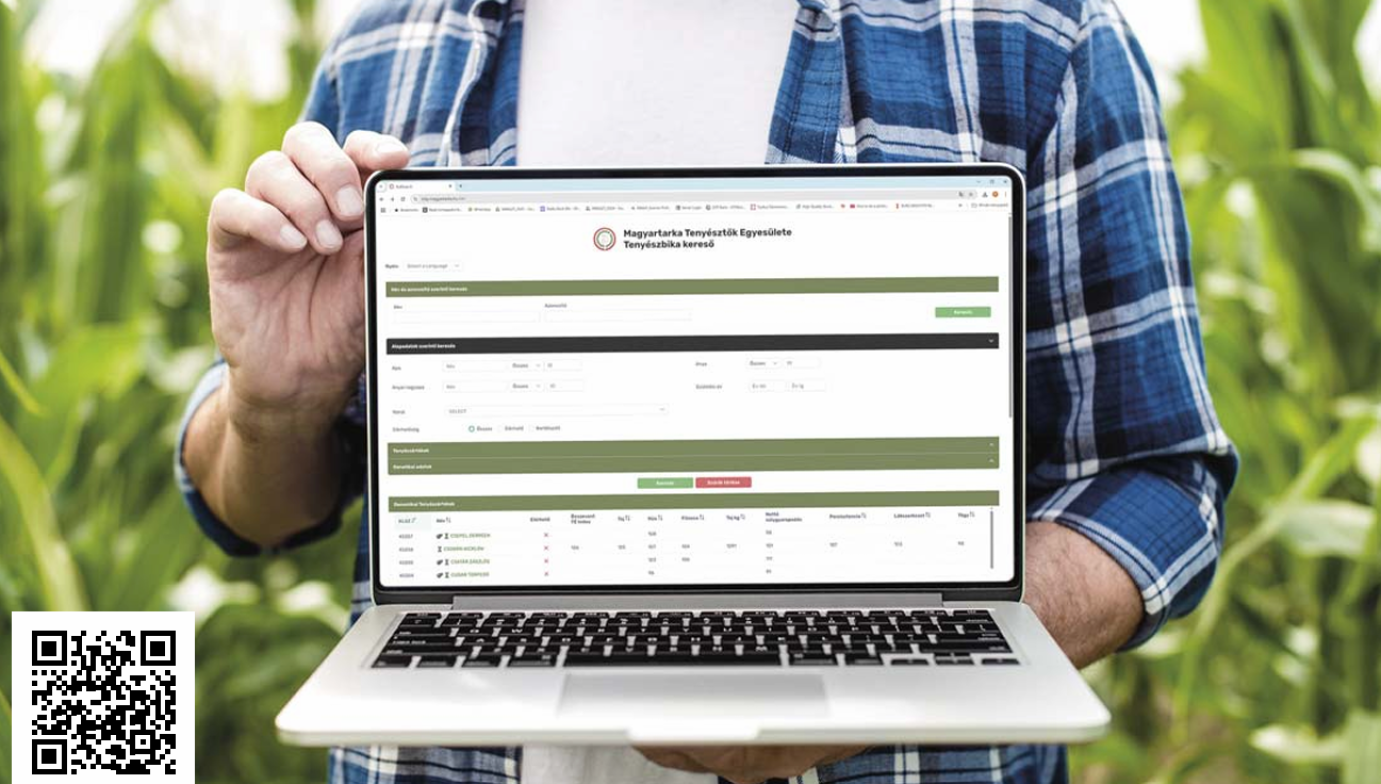 A magyartarka tenyészbikáink is haladnak a korral