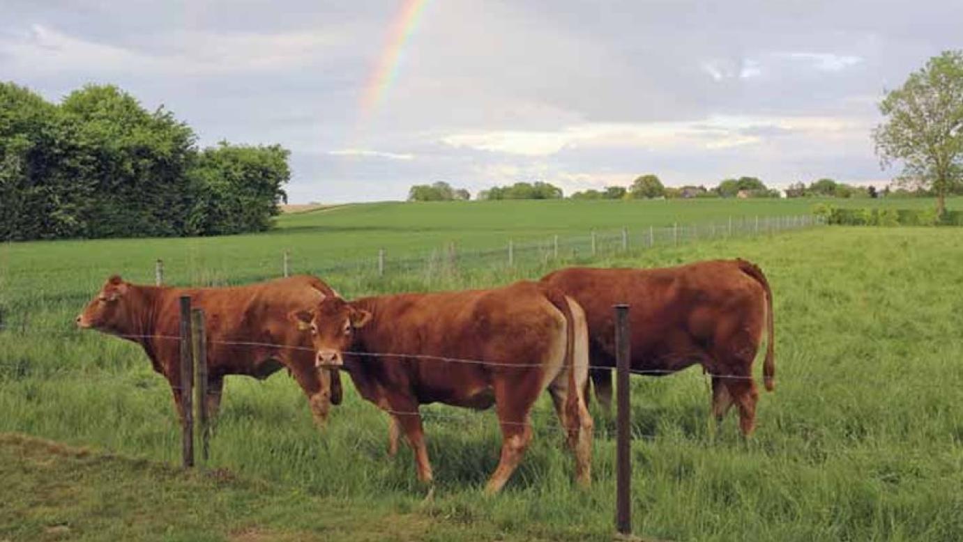 Teljesítményvizsgálatok nélkül nincs jövő
