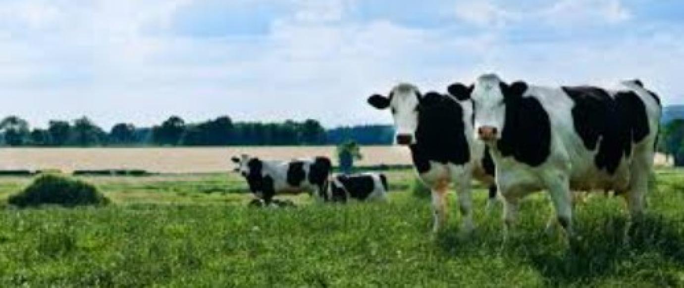 Folyamatos a járvány elleni védekezés