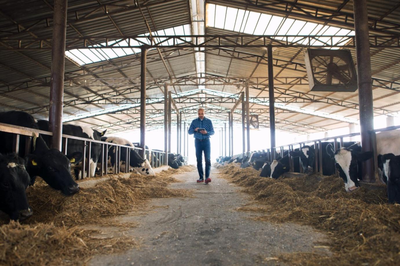 Kötelező a látogatási napló vezetése az állattartó telepeken