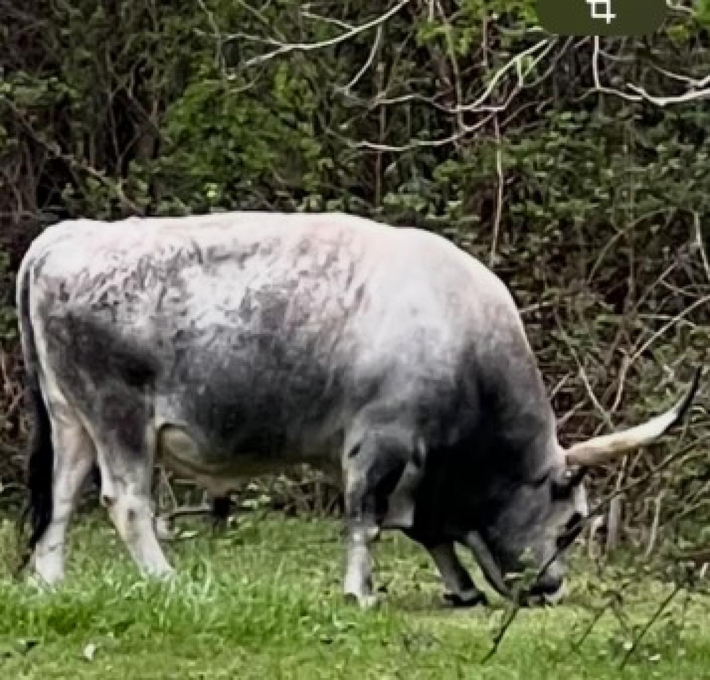 Lélegzetvételhez jutottunk