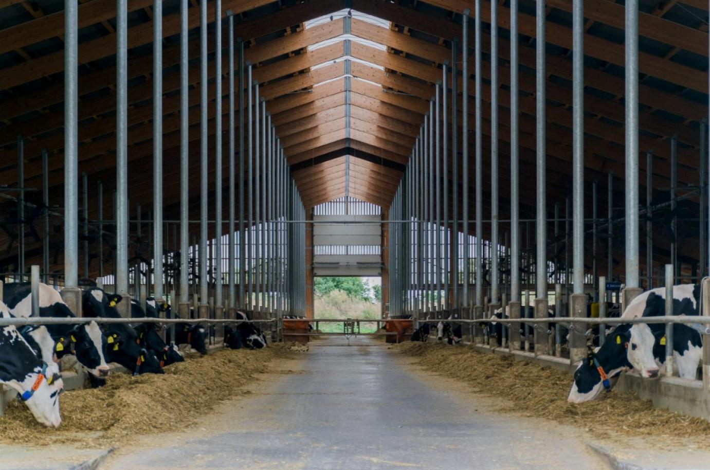 Változások az RSZKF hazai intézkedéseiben