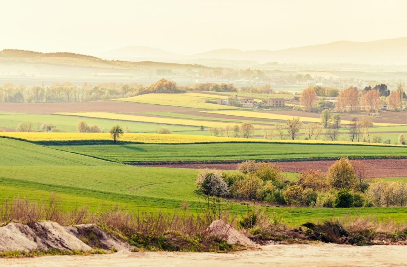 Április második hetében 27 milliárd forint érkezik a gazdákhoz az AÖP kifizetéseivel