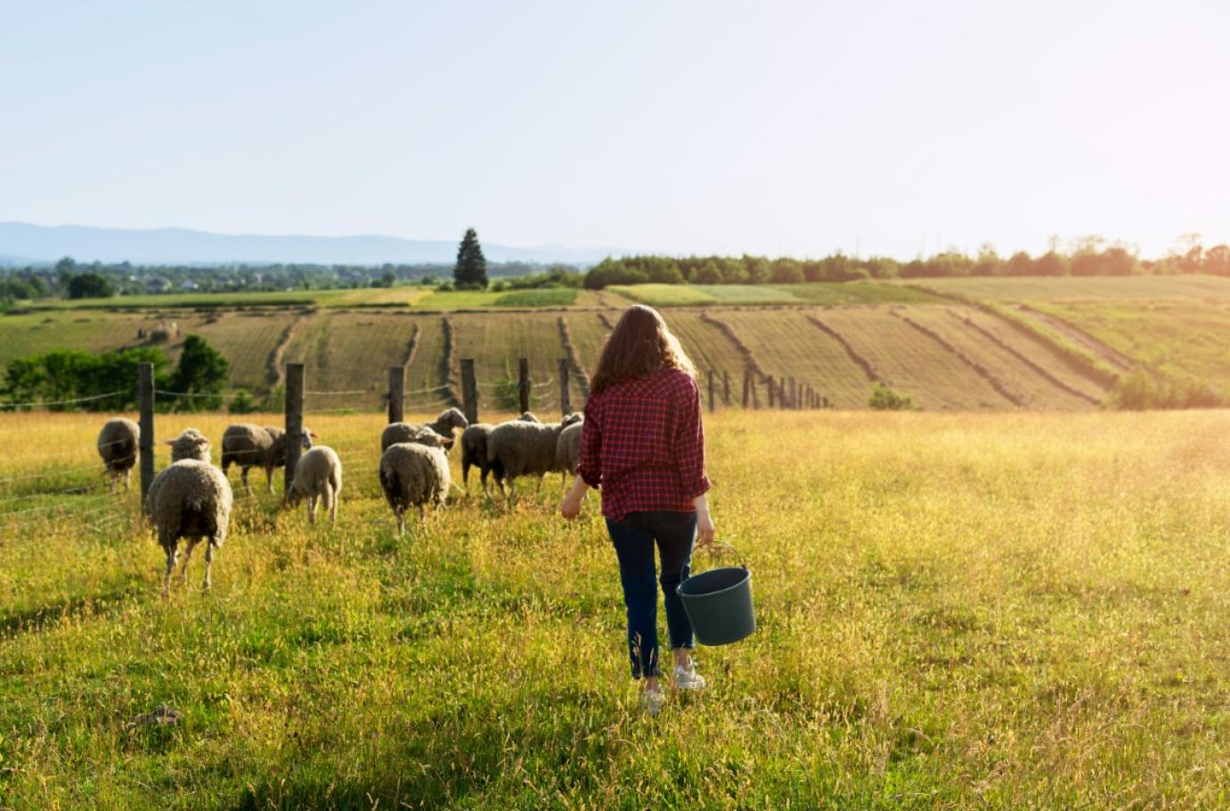 Az állattenyésztési szakpolitikák helyes kialakításának szerepe van a vidék fenntartható átalakulásában